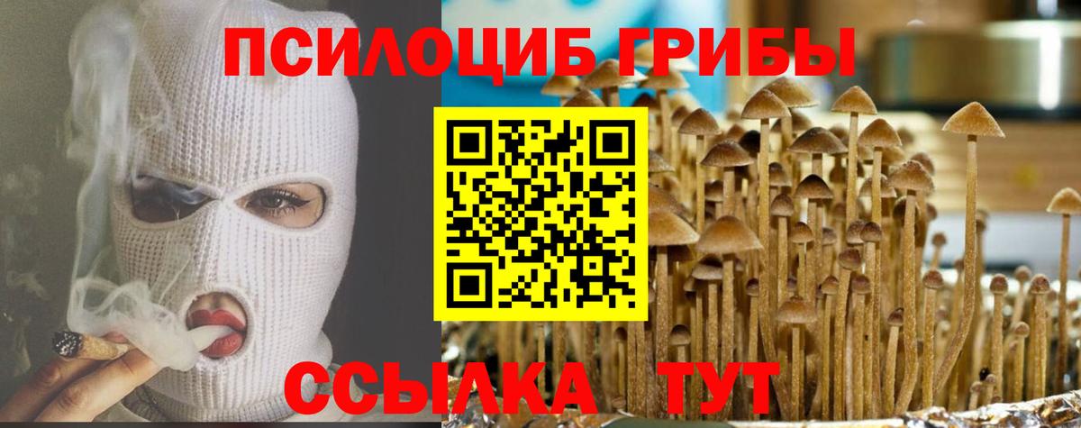 Серпухов  Галлюциногенные грибы мухоморы  Вход с VPN 