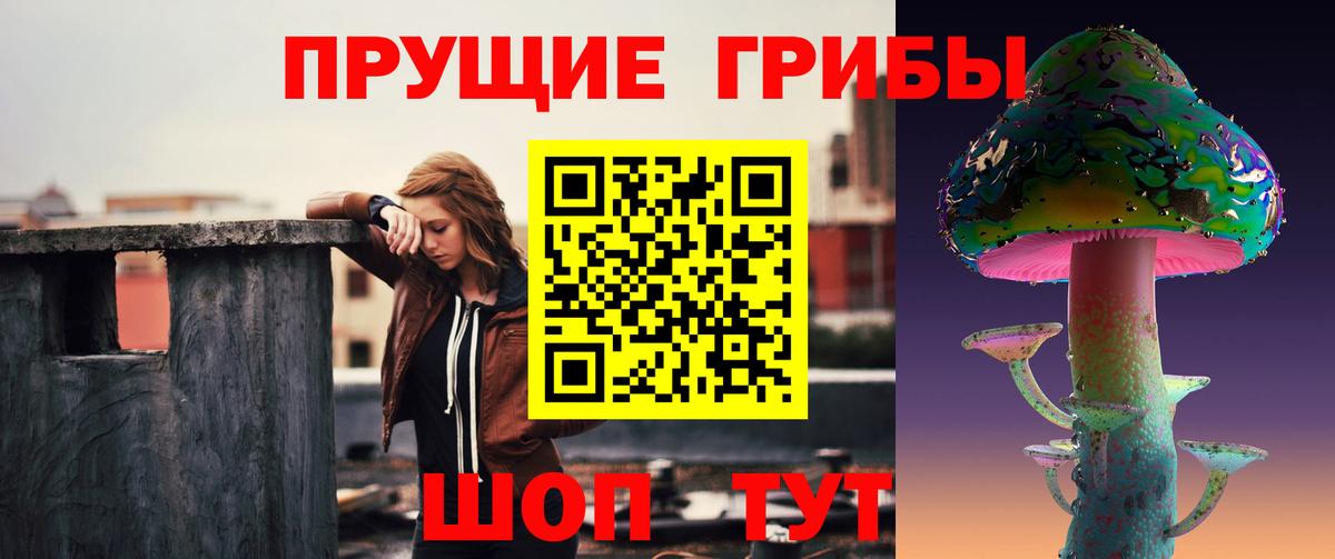 Галлюциногенные грибы Cubensis Серпухов